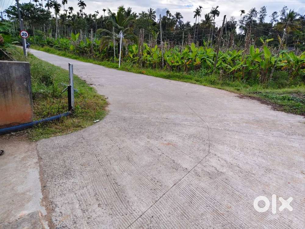 20 Cent Plain Plot for Sale – Kakkavayal, Wayanad