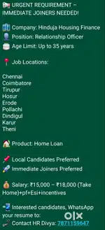 Sales Officer