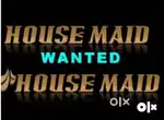 Non- veg Cook and cleaning Female maid wanted.