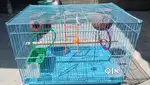 Cage for any birds(fixed price)