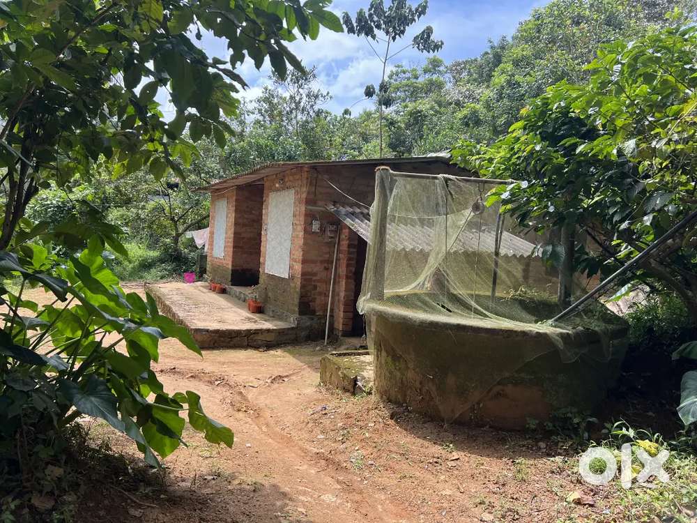 16 CENT LAND WITH OLD HOUSE FOR SALE AT MANANTHAVADY
