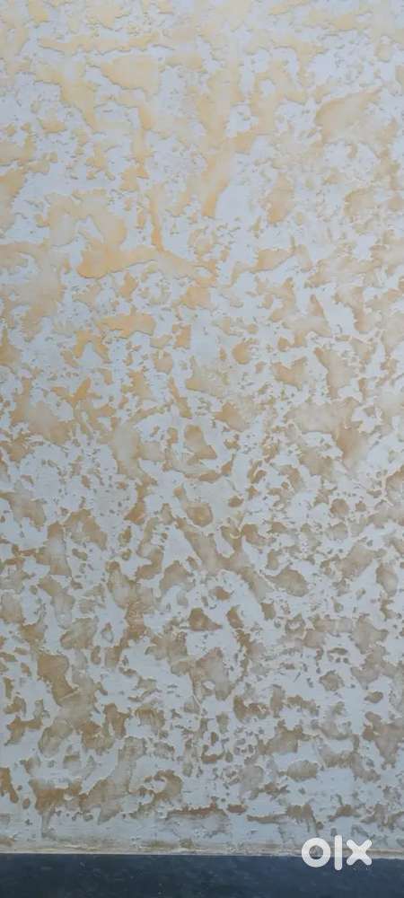 Professional Paint pu polic walltaxcher a.to,z kam kr te he