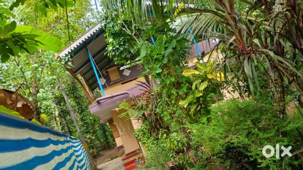 Place -Kureepuzha