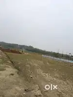 10 Lesa miadi mati