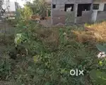 1030Sq.ft plot available for sale behind bright CBSE vasna Bhayli road