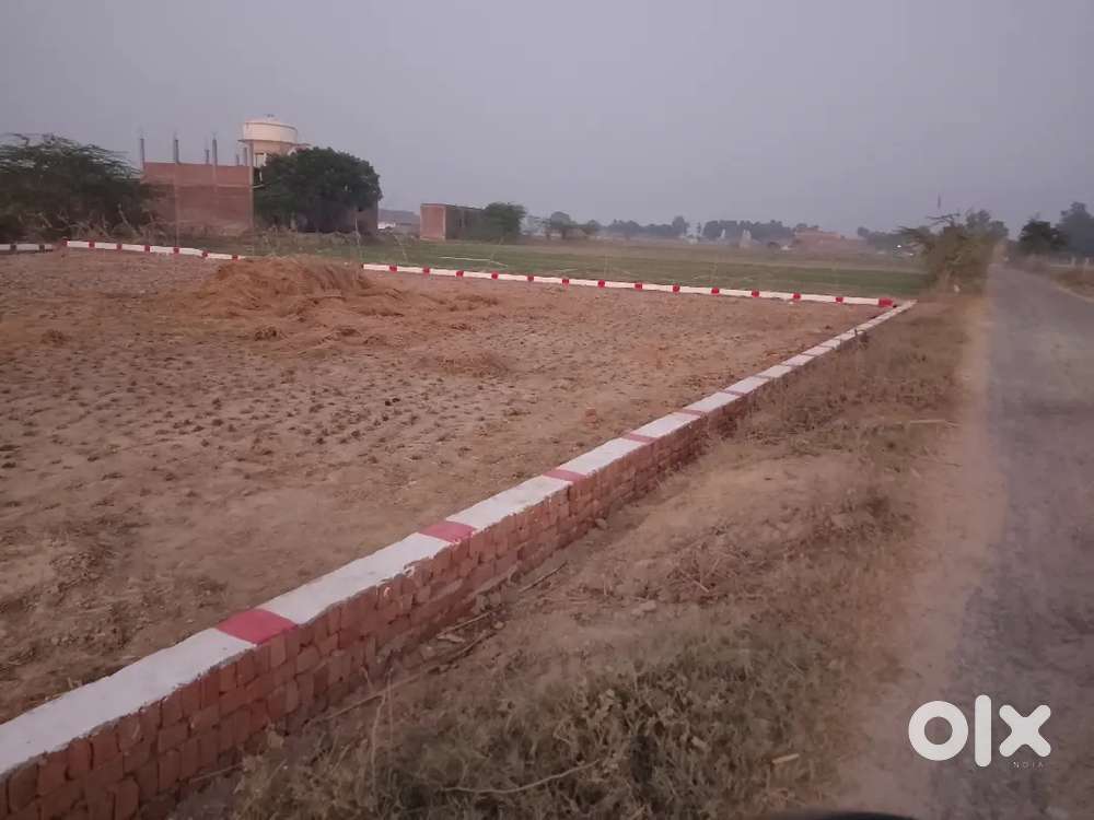 Pachor mandana kanpur