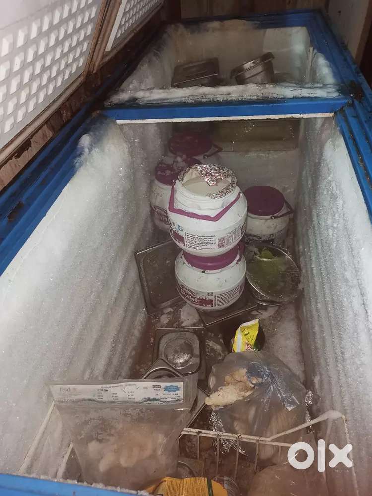 Deep Freezer Blue Star 500 Litres Double Door Convertible Heavy Duty