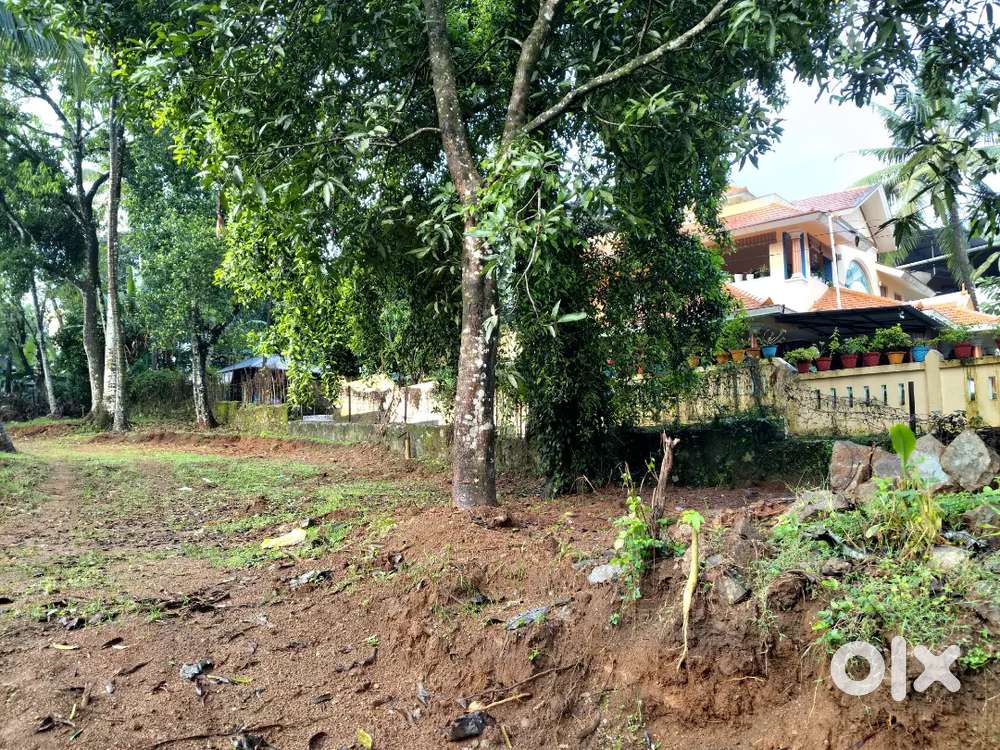 42 cent riverside plot for sale