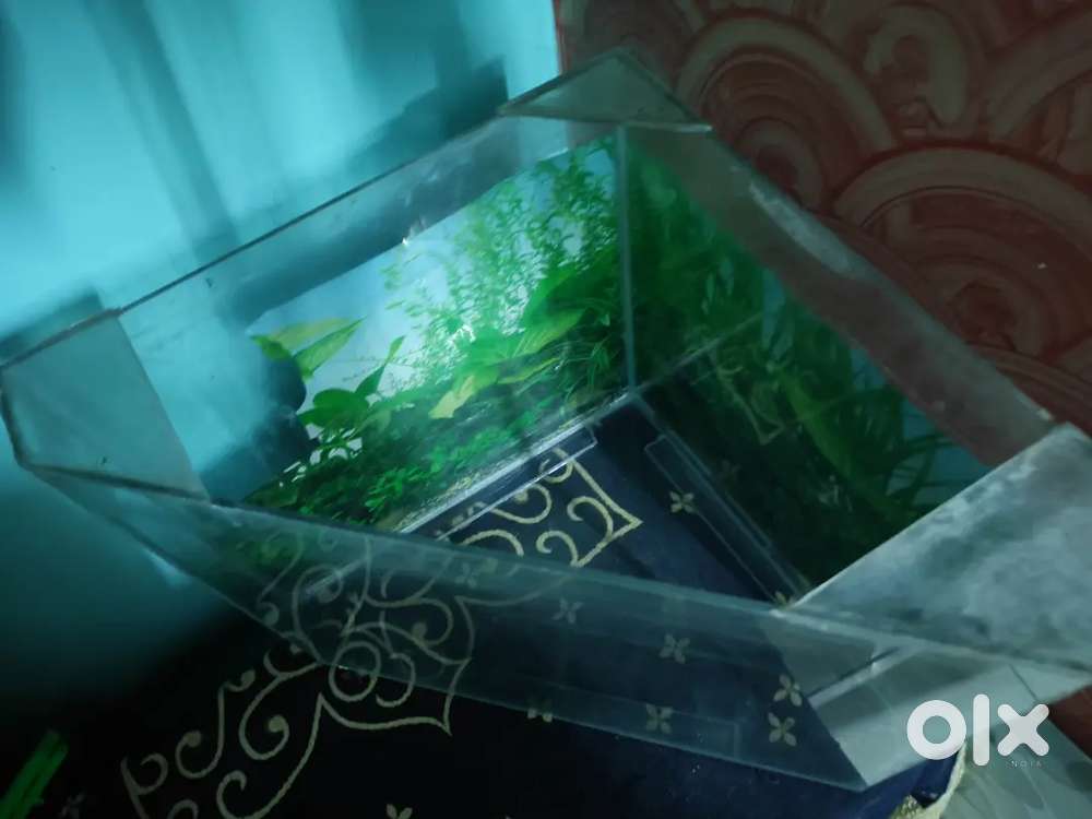 Fish tank corner piece