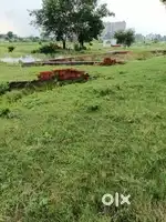 Prapossd bypass front of plot