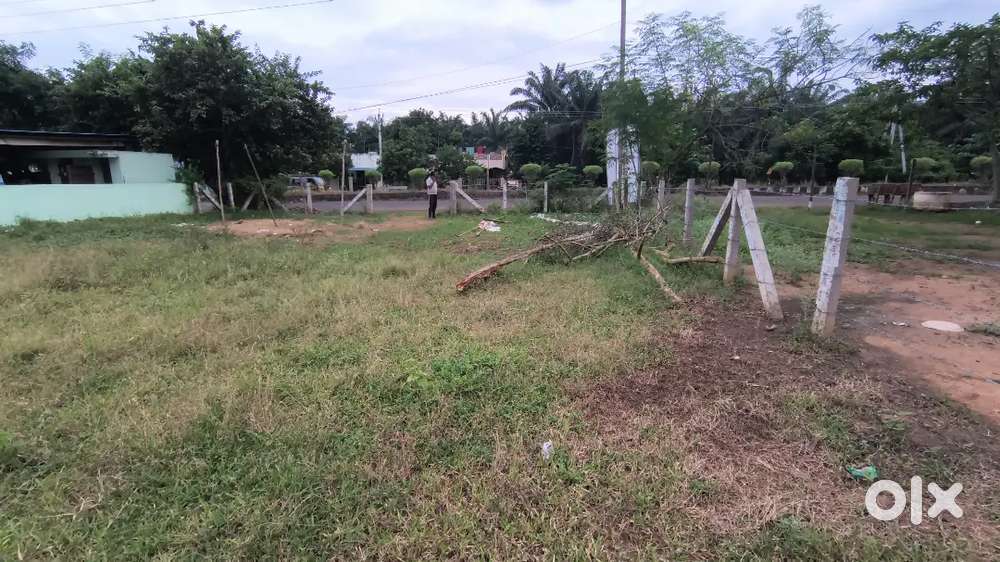 Open Plot Dwaraka tirumala bhimadole Main road Side for Sale