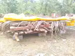 Wood for window and doors