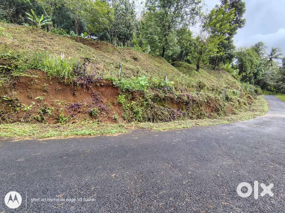 50 cent റോഡ്സൈഡ് സ്ഥലം വില്പനയ്ക്ക്