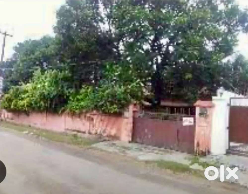 दिव्या नगर के पास भाजपा कार्यालय रोड शंकर नगर कॉलोनी मे आवासीय भूमि