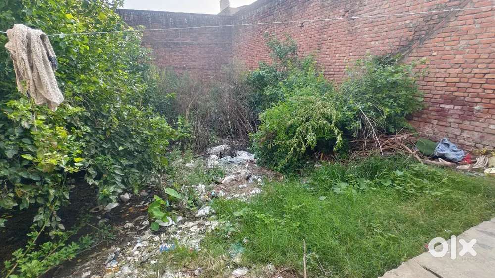 Best plot with North direction face