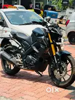 MT 15 2024