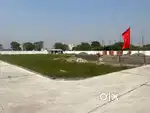 dream land