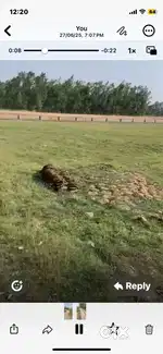 2500 sqr meter me plot available, 5 km from cosmos, near islam nagar