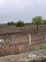Farm land is commercial bit Enkemoori vill. Narayankhed