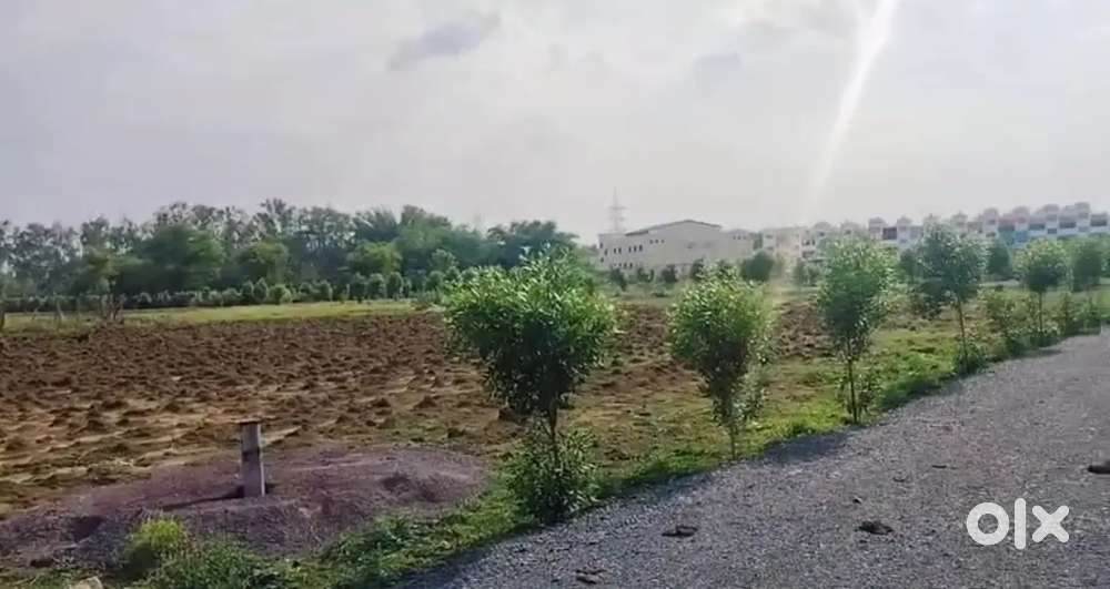 FARM HOUSE PLOT SEJBAHAR