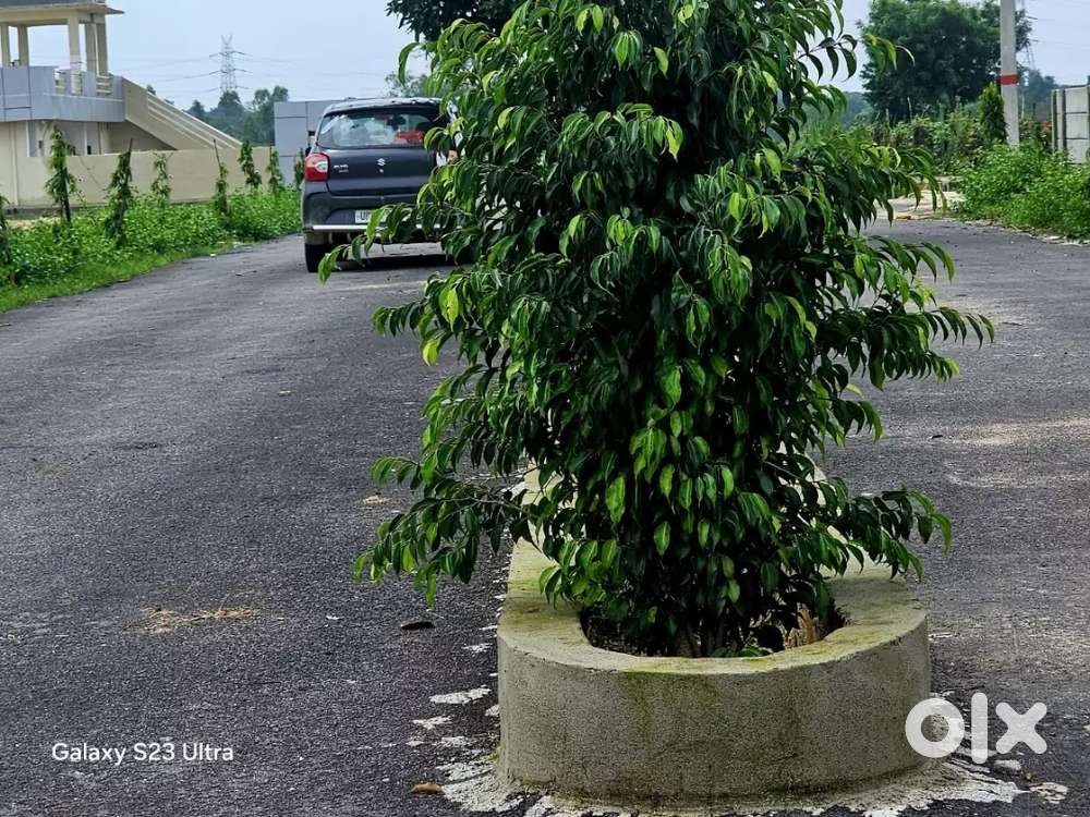 सुल्तानपुर रोड से सटा रजिस्ट्री प्लॉट – बैंक लोन उपलब्ध!