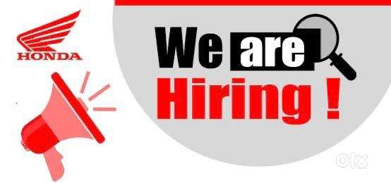 Service Advisor and tellecaller required