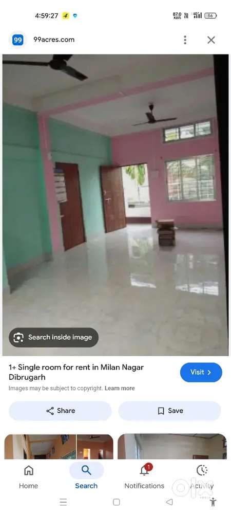 Need room mate at gadapani