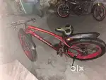 Elandike bicycle