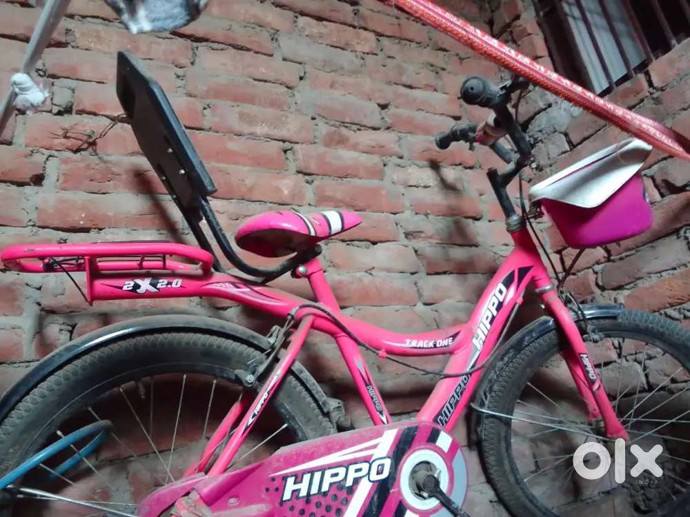Bacchon ka cycle
