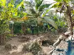 300 Mts From Kundamankadavu Main road 12,5 Cent Per Cent 8.5 Lakhs