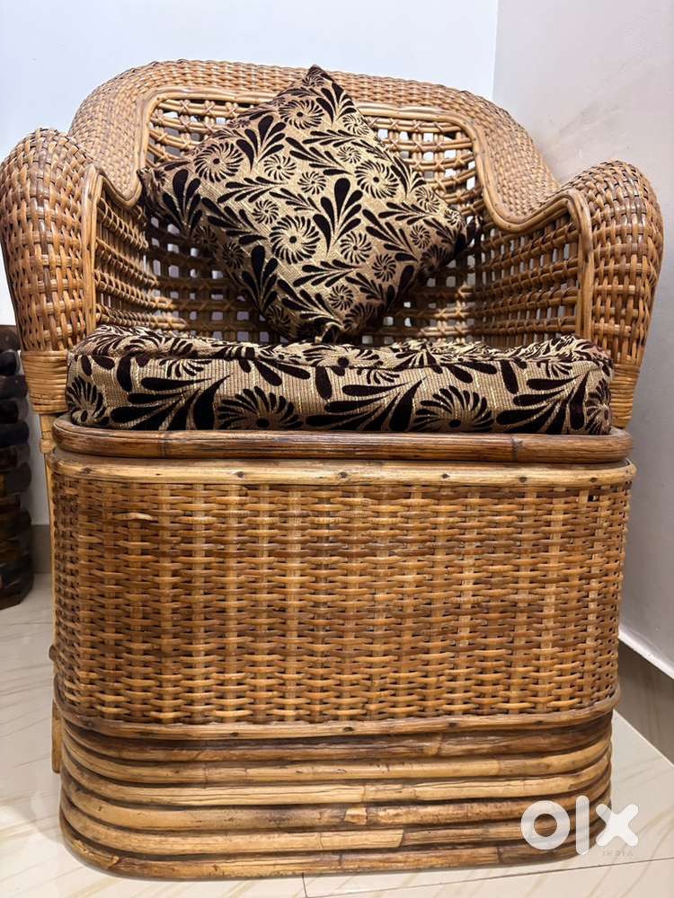 Single seater bait chair