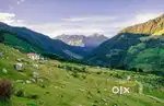 Land For Sale And Purchase In Bir Billing