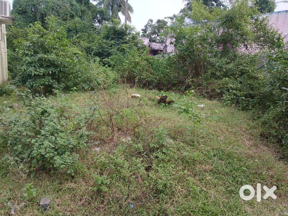 5sent land one sent land 1200000 urgent sale