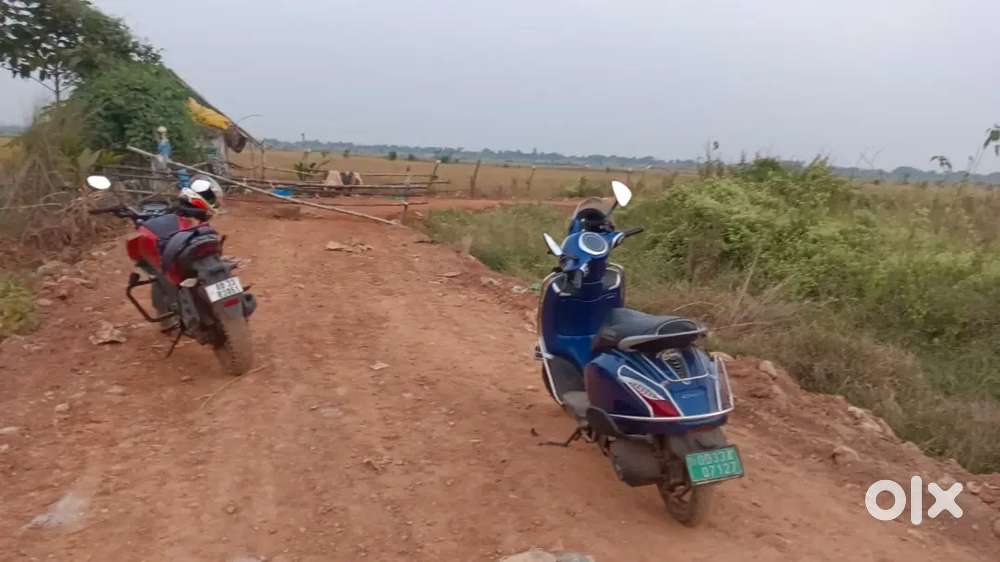 Allms hospital back side