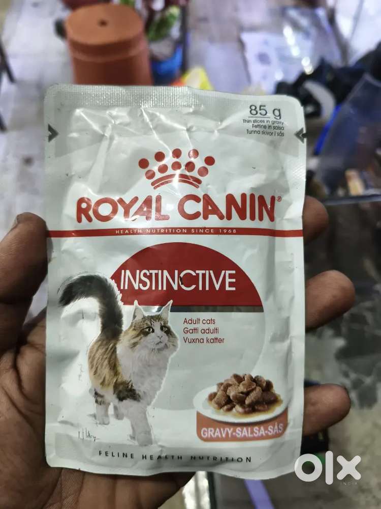 All kind of cat and dog food