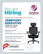 Territory Executive