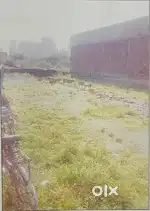 245 gaj (Yard) ka plot / Rs. 18000 gaj