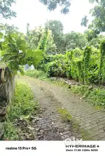 Road side Plot for sale !  kallayam road vattapara