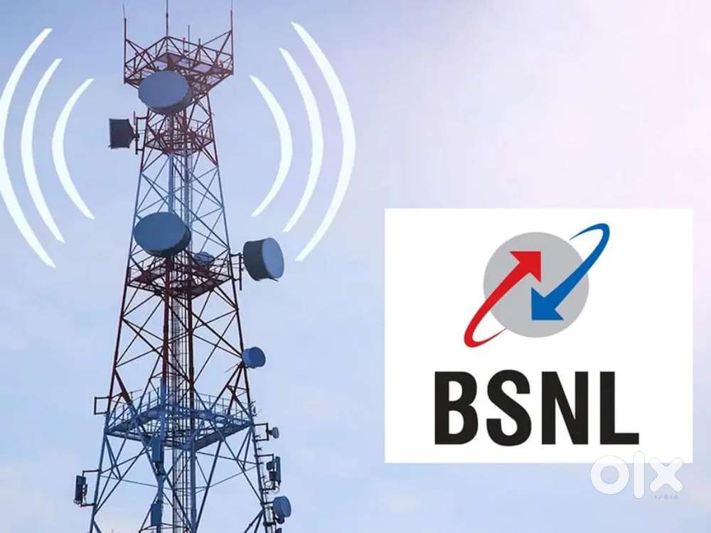 BSNL कंपनी के लिए तत्काल भतीॅ है।