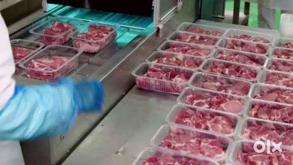 Wanted m/f packing staffs [ 4 am to 1 or 1 pm to 5 ]