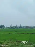प्लाटिंग वाली जमीन बिकाऊ है