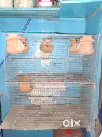 Bird cage good condition
