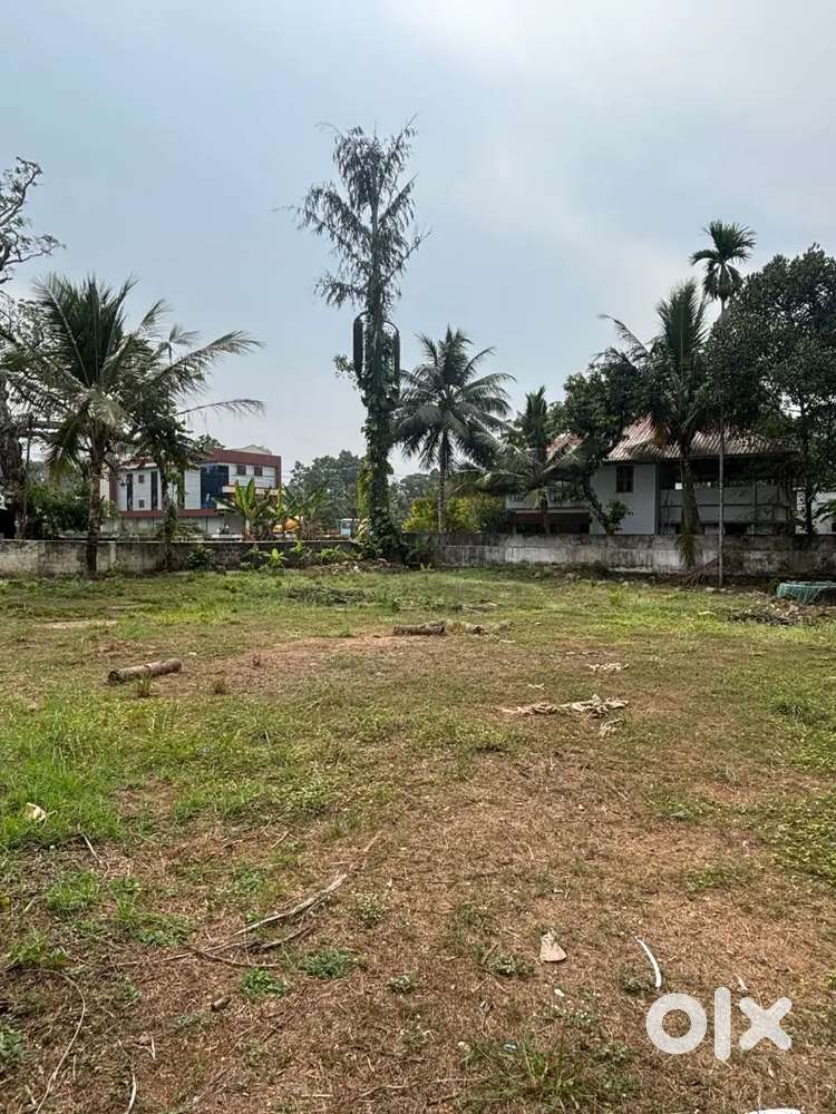Property at Adoor ( NH 183 A)