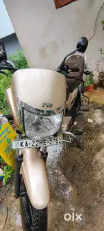 TVS Radeon