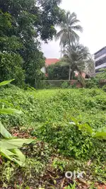 4.09 Cent Residential Land For Sale at Alavil , Kannur ( ml)