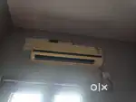 Ac tata viltvs