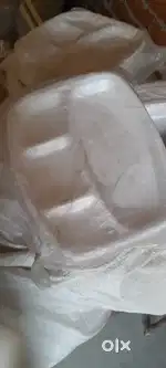 ਥਰਮੋਕੋਲ Disposable plates