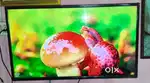 THOMSON TV 43 ENCH