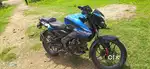 Ns palsar baik 125 bulu color, ( 2024,modal )