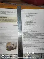 Steel scale